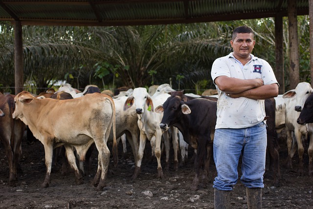 Fin del mundo rural